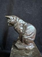 Poes op hoge natuurstenen sokkel.brons/bronzen, Ophalen of Verzenden