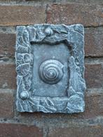 Schelp wanddecoratie betonnen beeld tuinbeeld beton, Ophalen of Verzenden, Nieuw
