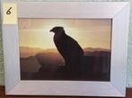 foto wissellijstjes €5,- per stuk (1e), Ophalen of Verzenden, Zo goed als nieuw
