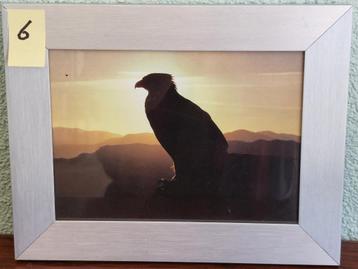foto wissellijstjes €5,- per stuk (1e) beschikbaar voor biedingen