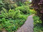 Tuinman Hovenier in de Provincie Utrecht, Diensten en Vakmensen, Tuinmannen en Stratenmakers
