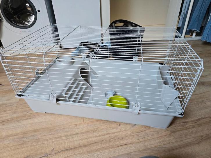 Ferplast cavie 80 kooi, Dieren en Toebehoren, Knaagdieren en Konijnen | Hokken en Kooien, Zo goed als nieuw, Kooi, Minder dan 60 cm