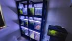 Aquarium stelling 12 aquariums (50*30*30), Dieren en Toebehoren, Ophalen, Zo goed als nieuw, Leeg aquarium
