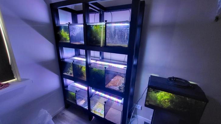 Aquarium stelling 12 aquariums (50*30*30), Dieren en Toebehoren, Vissen | Aquaria en Toebehoren, Zo goed als nieuw, Leeg aquarium