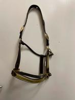 Harry’s horse halster Full Bruin met goud glitters Nieuw, Ophalen of Verzenden, Nieuw