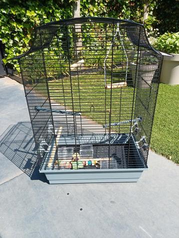 Vogelkooi grijs zwart met speeltjes en water voer bakjes beschikbaar voor biedingen