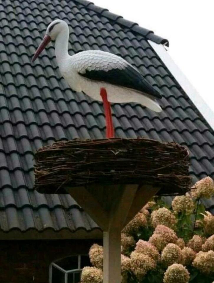 Geboorte ooievaar XL op een echt nest, Kinderen en Baby's, Kraamcadeaus en Geboorteborden, Ophalen