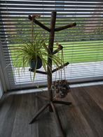 Houten standaard vorm boom, Antiek en Kunst, Ophalen of Verzenden