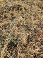 hooi hooibalen, Dieren en Toebehoren, Ophalen, Nieuw, Overige soorten