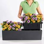 2x Lechuza BALCONERA Color 80 leisteengrijs met balkonhouder, Ophalen, Tuin, Kunststof, Minder dan 30 cm