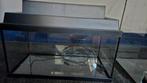 Aquarium 54 L 60 cm, Ophalen, Gebruikt, Leeg aquarium