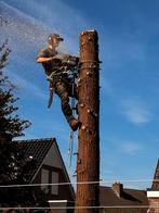 bomen snoeien en verwijderen, snel en vakkundig, Diensten en Vakmensen, Tuinmannen en Stratenmakers