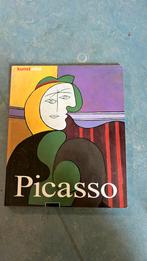 Kunstmini - Picasso, Ophalen of Verzenden, Zo goed als nieuw, Schilder- en Tekenkunst