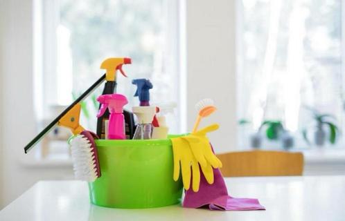 Gezocht: Huishoudelijke hulp / schoonmaakster in Apeldoorn, Diensten en Vakmensen, Huishoudelijke hulp