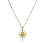 Wens ster goudkleurig aan ketting, op cadeaukaartje, Ophalen of Verzenden, Nieuw, Goud, Zilver