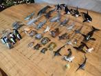 Schleich zeedieren, haai, pinguïn, haai, dolfijn, orca,, Ophalen of Verzenden, Zo goed als nieuw, Paard, Beeldje of Figuurtje