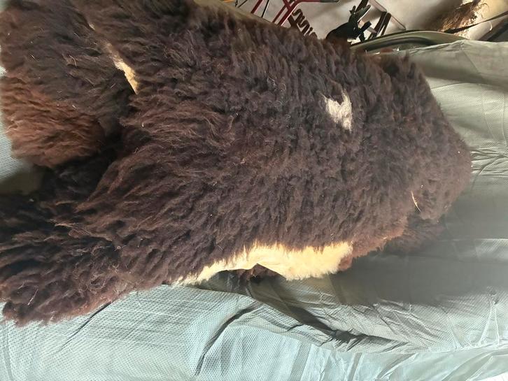 Mooie schapenvacht(en) en meer, Huis en Inrichting, Stoffering | Tapijten en Kleden, Gebruikt, 50 tot 100 cm, Overige vormen, Wit