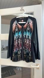 Bonita donker grijs vest mt XXL, Ophalen of Verzenden, Gedragen, Grijs, Trui of Vest