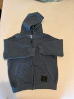 Hoodie, 116, Kleding | Heren, Bodywarmers, Grijs, Ophalen of Verzenden, Zo goed als nieuw, Overige maten