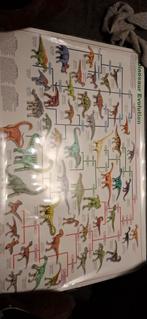 Dino Poster - Evolutie van Dinosaurussen, Ophalen, Zo goed als nieuw