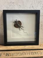 Mooie lijst met een vliegende draak, Ophalen of Verzenden, Nieuw, Reptiel of Amfibie, Opgezet dier