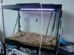 Mooi aquarium met toebehoren, Dieren en Toebehoren, Vissen | Aquaria en Toebehoren, Ophalen, Zo goed als nieuw, Gevuld zoetwateraquarium