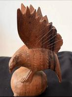 Hoiten roofvogel, Ophalen of Verzenden