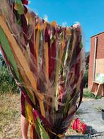 Decoratie fotowand, Ophalen of Verzenden