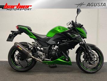 Kawasaki Z 300 ABS (bj 2017) beschikbaar voor biedingen
