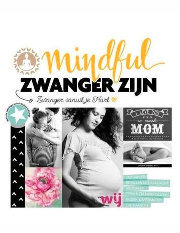 Mindful Zwanger zijn + CD - Yvon Tuinte-Zwanenburg
 beschikbaar voor biedingen