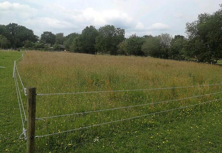 Weidegang + stalling in eigen beheer aangeboden, Dieren en Toebehoren, Stalling en Weidegang, Stalling, Weidegang