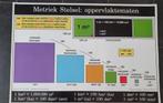 39 schoolplaten metriek stelsel schoolplaat schoolposter, Antiek en Kunst, Ophalen of Verzenden, Natuur en Biologie