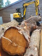 Eiken boomstam, object voor een kunstenaar, Tuin en Terras, Minder dan 3 m³, Ophalen of Verzenden, Eikenhout, Blokken