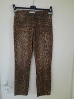 Cambio jeans broek  38/40 diverse, Verzenden, Zo goed als nieuw, Blauw, W30 - W32 (confectie 38/40)