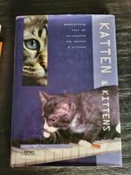 Katten & Kittens - Handleiding voor verzorging, Ophalen of Verzenden, Gelezen, Katten, Joan Moore