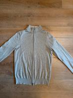 The Society Shop vest, Ophalen of Verzenden, Zo goed als nieuw, Maat 46 (S) of kleiner, Grijs