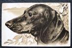 Reliefkaart Teckel, Verzamelen, Verzenden, Voor 1920, Ongelopen, Hond of Kat