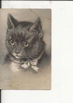 Poes met strikje 31 jan 1902, Verzenden, Voor 1920, Gelopen, Overige thema's