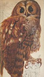 Het Beste Vogelboek - The readers Digest, Diverse auteurs, Ophalen of Verzenden, Zo goed als nieuw, Vogels