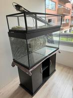 Aquarium +- 180 L, Gebruikt, Ophalen, Leeg aquarium