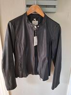 Nieuw! Goosecraft zwart leren biker jasje maat S/M, Jasje, Maat 38/40 (M), Ophalen of Verzenden, Zo goed als nieuw