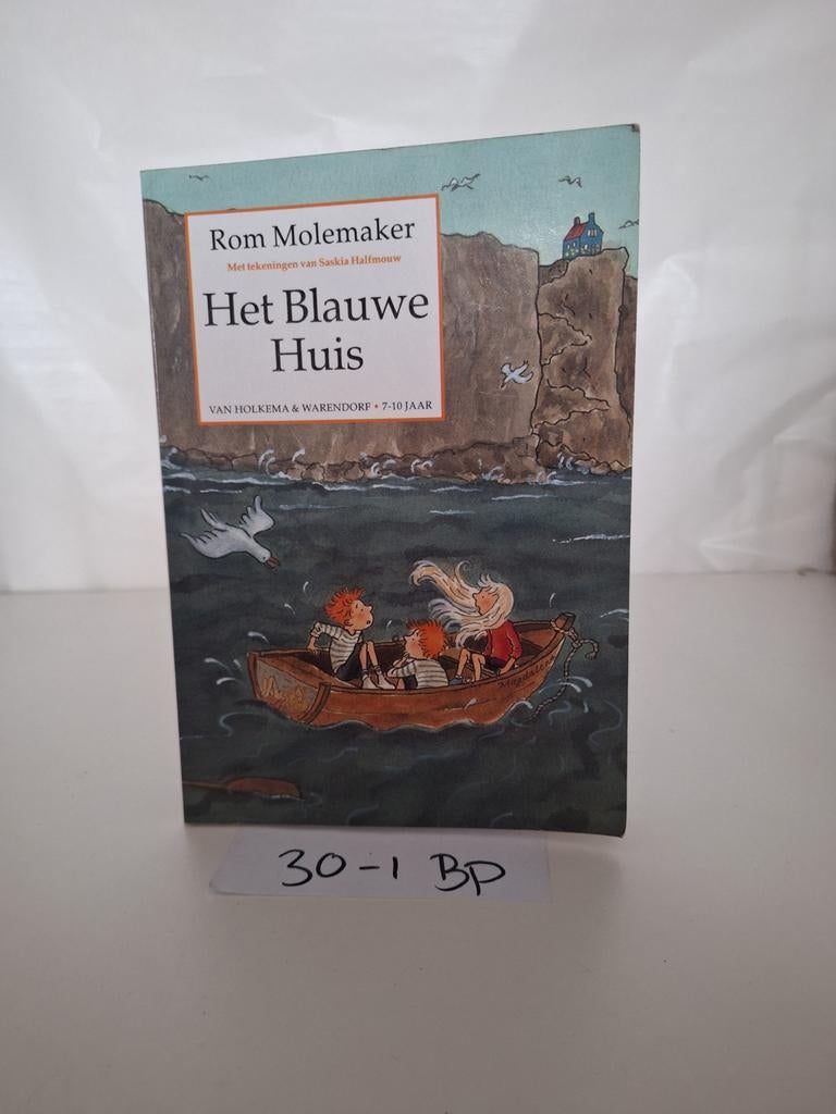 Het Blauwe Huis - Rom Molemaker, Boeken, Ophalen of Verzenden, Zo goed als nieuw, Rom Molemaker, Fictie algemeen