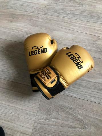 Kinder bokshandschoenen beschikbaar voor biedingen