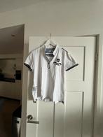 Wedstrijdshirt Pikeur mt 42, Gebruikt, Dressuur, Ophalen of Verzenden, Dames