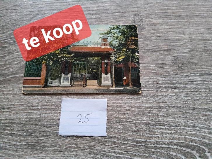 Diergaarde Blijdorp ansichtkaarten - per stuk - Serie B, Tickets en Kaartjes, Kortingen en Cadeaubonnen, Eén persoon, Overige soorten