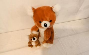 Koala beertje met jong  beschikbaar voor biedingen