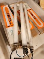 Osram L, Ophalen of Verzenden