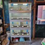 Kweek kooien, Dieren en Toebehoren, Vogels | Hokken en Kooien, Ophalen of Verzenden, Zo goed als nieuw, Aluminium, Broedkooi of Kweekkooi