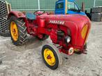 Porsche 219 Oldtimer tractor, Oldtimer, Overige merken