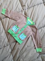 Hema vest maat 80, Kinderen en Baby's, Babykleding | Maat 80, Truitje of Vestje, Ophalen of Verzenden, Zo goed als nieuw, Hema